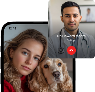 Video Call Interface